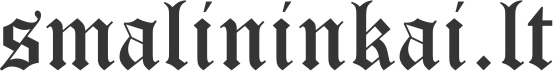 smalininku kartodromas logo
